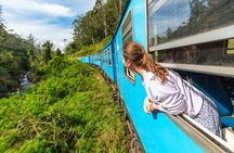 Sri Lanka tour 8 Days with a private driver, hotels, and vehicle