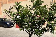 Corfu Town with Dark Stories