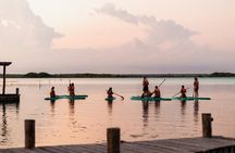 Paddleboarding and/or kayaking tour at sunrise in the lagoon of Bacalar