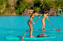 Paddleboarding and/or kayaking tour at sunrise in the lagoon of Bacalar