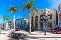 Mountain View and City Tours