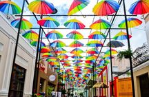 Mountain View and City Tours