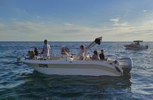 Private Guided Sunset Dolphin Watching in Adriatic Sea