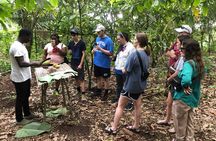 Waterfalls, Aburi Botanical Gardens and a Cocoa Farm Experience.