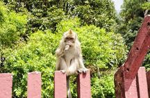 Private Tour of the Southwest with Mauritian Lunch