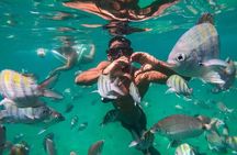 Full Day Tour to Angra dos Reis with Lunch