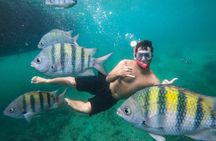 Exploring Angra Dos Reis and Ilha Grande in One Day