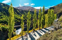 Bike The Wineries Full Day Ride - Queenstown