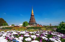 Full Day Doi Inthanon National Park Tour( Joint)