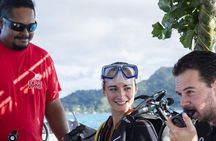 Private Boat for 1 afternoon Dive (beginners or certified divers)