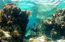 All-inclusive day-trip from Nassau to Andros Bahamas
