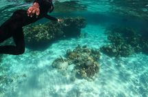 All-inclusive day-trip from Nassau to Andros Bahamas