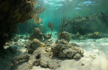 All-inclusive day-trip from Nassau to Andros Bahamas