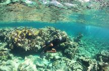 All-inclusive day-trip from Nassau to Andros Bahamas