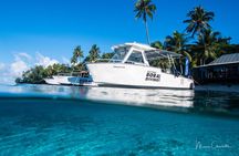 Private Boat for 1 afternoon Dive (beginners or certified divers)