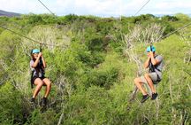 Six Zipline Adventure with Waikiki Transportation