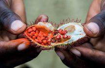 Zanzibar: Day Trip Stone Town, Spice Tour, Prison Island