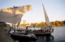 Explore the Botanical garden & Nubian village in Aswan.
