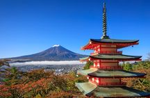 Mt. Fuji or Hakone Private Sightseeing Day Trip From Tokyo