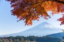 Mt. Fuji or Hakone Private Sightseeing Day Trip From Tokyo