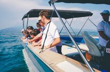 Lake Garda: Sirmione Boat Tour and Walking Tour