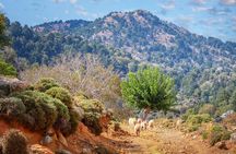 Paths of Old Cretan Life. Private tour from Chania.