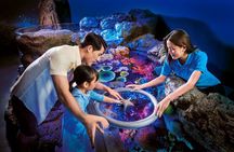 SEA LIFE Bangkok Ocean World and Madam Taussauds Entry Ticket