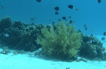 Eden Island a Luxury Snorkeling Sea Trip.