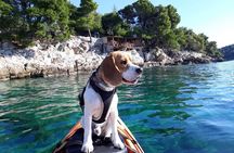 Guided Sea Kayaking Tour in Cavtat