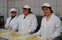 Private tour of limoncello igp with tasting by the sea