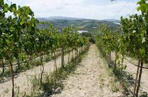 Heraklion: Half Day Small Group Wine Tour with Wine Tastings