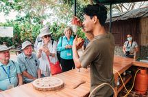 Cocoa and Gastronomy Tour at Hacienda CacaoyMango