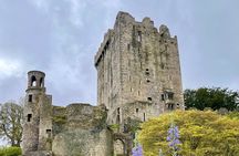 Private tour of, Blarney Castle, Cork City and Kinsale