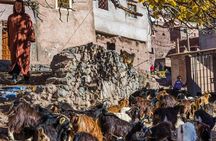  Full Day hike From Marrakech to atlas mountains with Berbers