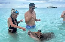 Half Day Swimming Pigs on Rose Island, Snorkeling and Lunch