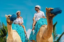 Half-Day Parasailing and Camel Caravan Tour in Maroma Beach