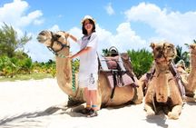 Half-Day Parasailing and Camel Caravan Tour in Maroma Beach