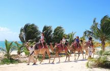Half-Day Parasailing and Camel Caravan Tour in Maroma Beach