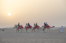 Premium Red Dunes Bashing with Quad Bike, Camel, Falcon &VIP Camp