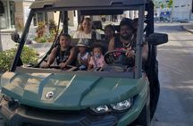3 Hour Guided Beach buggy sightseeing city tour. (Free samples).