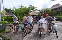 Jatiluwih E-bikes Tour Cycling Group
