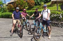 Jatiluwih E-bikes Tour Cycling Group