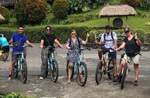 Jatiluwih E-bikes Tour Cycling Group