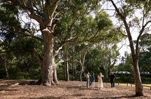 Guided Warriparinga Cultural and Historical Tour