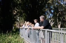 Guided Warriparinga Cultural and Historical Tour