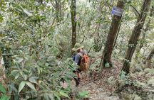 Full-Day Private Guided Hiking Tour of Ba Vi National Park