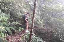 Full-Day Private Guided Hiking Tour of Ba Vi National Park