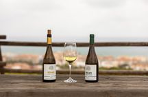 Manilva Oceanfront Wine Experience in the Marbella Area