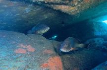 Double dive in the Capo Carbonara Marine Protected Area, for patents.