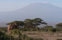 8-Day Private Safari Tour in Nairobi Kenya